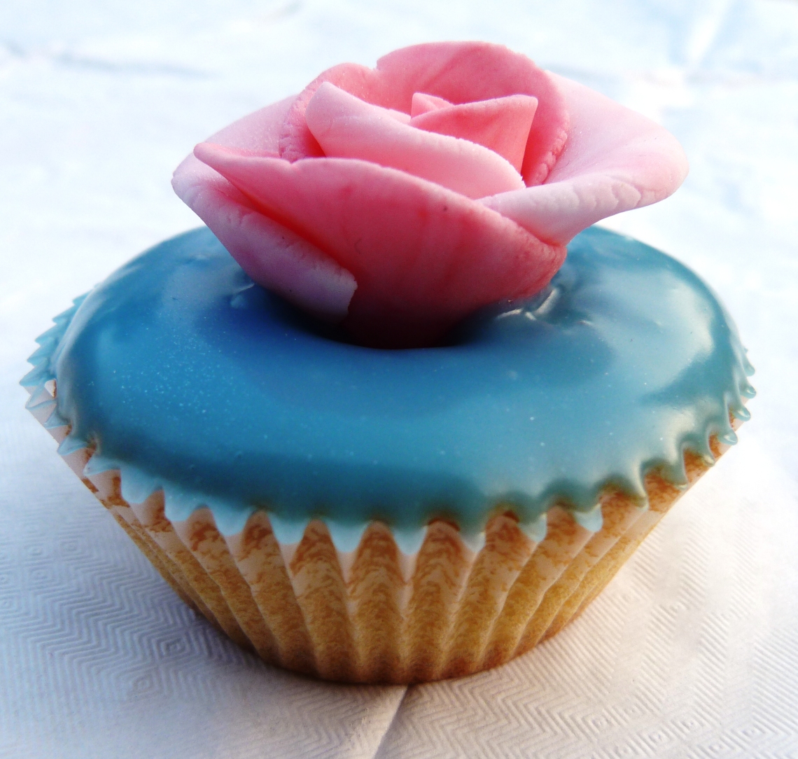 blue pink rose